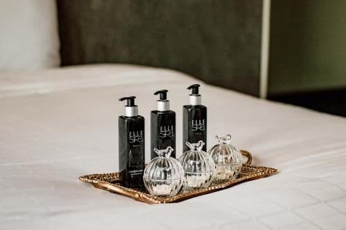 Deluxe Double or Twin Room with Garden View