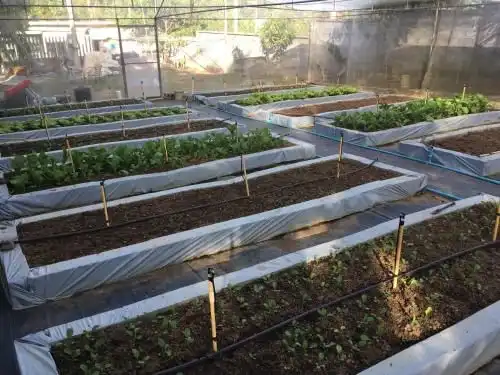 Baan Rai Mee Rak Farmstay Baan Rai Mee Rak Farmstay