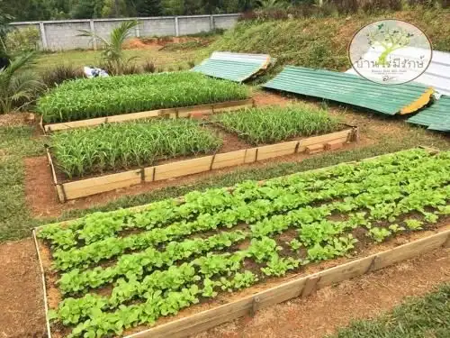 Baan Rai Mee Rak Farmstay Baan Rai Mee Rak Farmstay