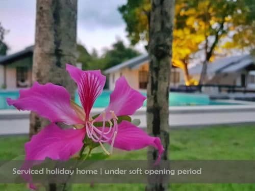 Holiday Home