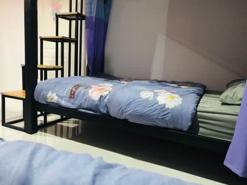 Bunk Bed in Female Dormitory Room