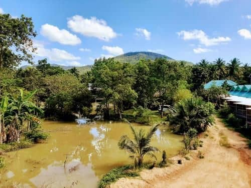 Phangan Farm Stay Eco organic farming Phangan Farm Stay Eco organic farming