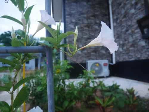KORA-GREAT Airport Resort KORA-GREAT Airport Resort