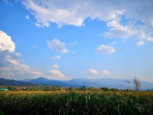 บ้านมาดีโฮมสเตย์ (Madee Homestay)0