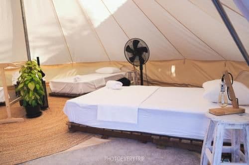 Bed in 4-Bed Mixed Dormitory Room