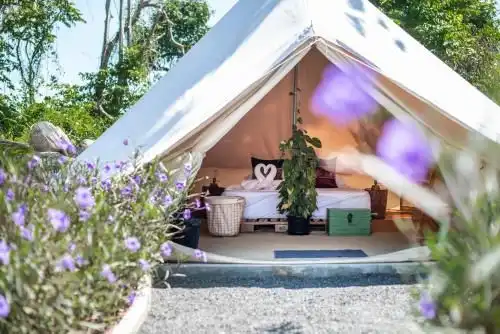 Roost Glamping Roost Glamping
