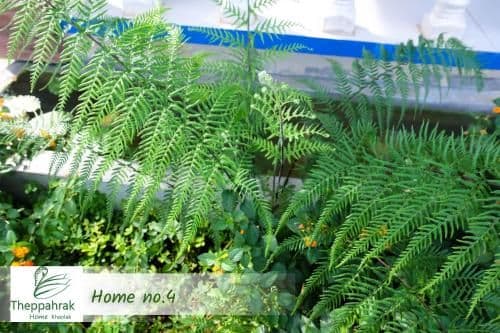 Holiday Home 4
