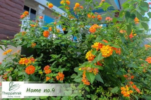 Holiday Home 4