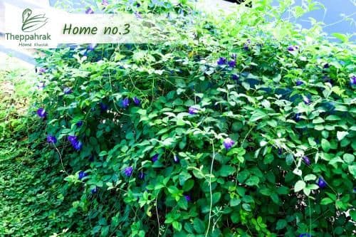 Holiday Home 3