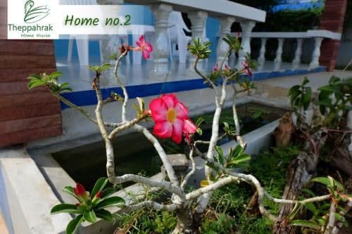 Holiday Home 2