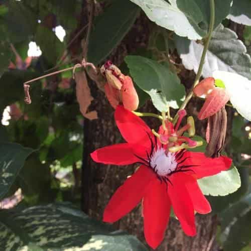 Akechanok Homestay Akechanok Homestay