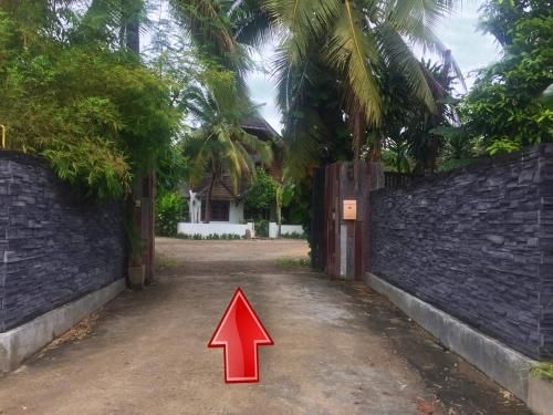 Baanchandra2