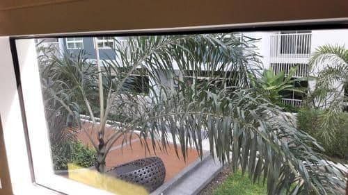 Apartment with Garden View