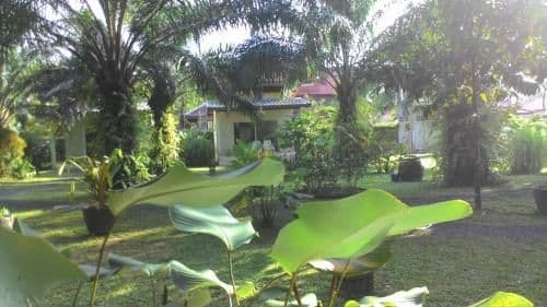 Bungalow with Garden View