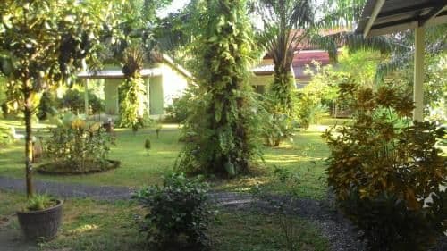 Standard Bungalow