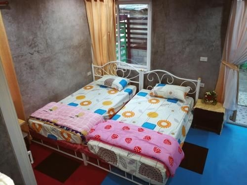 Mushroom World Homestay1
