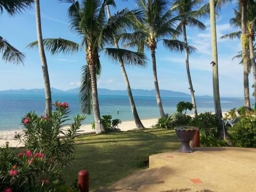 Absolute Beach Front Living0