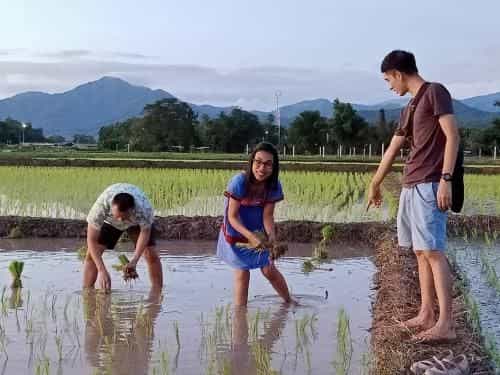 บวกบัววิวรีสอทร์ บวกบัววิวรีสอทร์