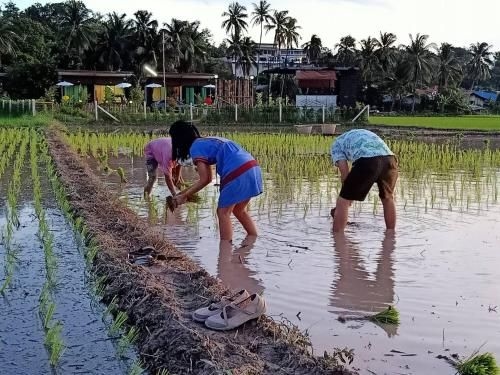 บวกบัววิวรีสอทร์ (Buak Bua View Resort)4