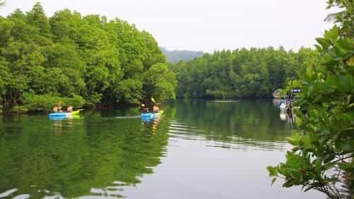 TA YAI HOMESTAY (ตา ยาย โฮมสเตย์) TA YAI HOMESTAY (ตา ยาย โฮมสเตย์)
