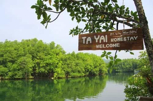 TA YAI HOMESTAY (ตา ยาย โฮมสเตย์) TA YAI HOMESTAY (ตา ยาย โฮมสเตย์)