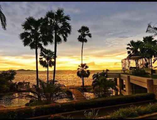 THE PALM PRIVATE SEAVIEW BEACH THE PALM PRIVATE SEAVIEW BEACH