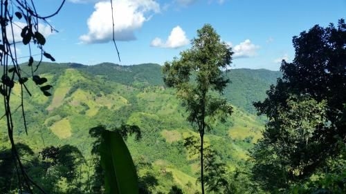 Akha Mud House Mae Salong1