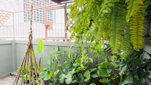 4Br house 8 min walk to Mrt near by Chatuchack,Donmuang airport (4Br house 8 min walk to Mrt near by Chatuchack,Donmuang Airport)1