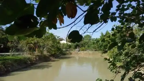 Paradise Resort at Lamphun Paradise Resort at Lamphun