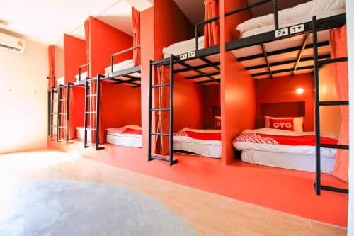 Bunk Bed in Female Dormitory Room