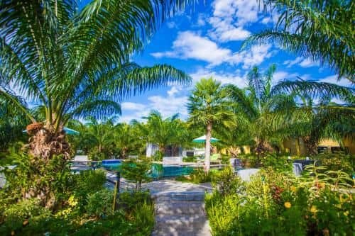 Palm Pran Resort Palm Pran Resort