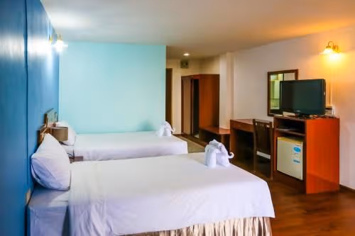 Deluxe Double or Twin Room with Mountain View