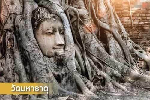 ลมโชยโฮมสเตย์บ้านพักริมแม่น้ำเจ้าพระยา ลมโชยโฮมสเตย์บ้านพักริมแม่น้ำเจ้าพระยา