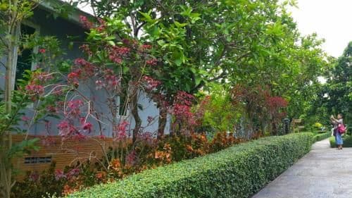 Scenic View Holiday Home