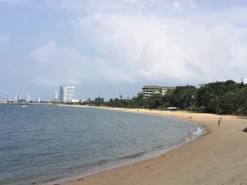 ราฟิกิ ราฟิกิ