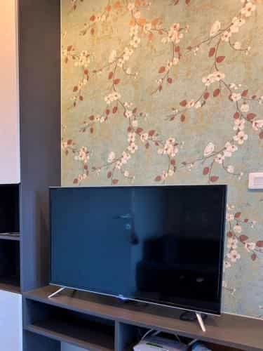 Pattaya city center modern apartment芭提雅市中心网红公寓the base comdo Pattaya city center modern apartment芭提雅市中心网红公寓the base comdo