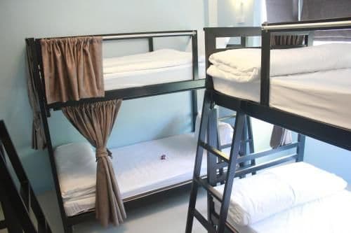 Bunk Bed in Female Dormitory Room