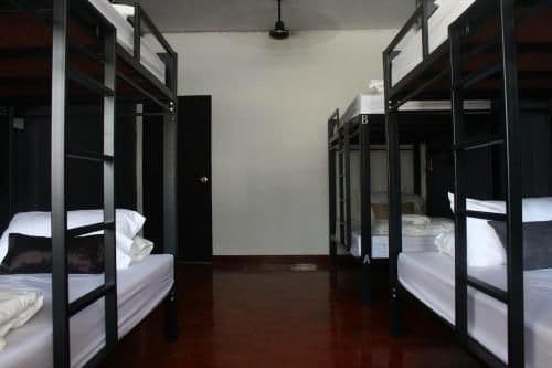 Bunk Bed in Mixed Dormitory Room