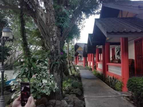 จักรดาว เมาท์เท่น วิว (Mountain View) จักรดาว เมาท์เท่น วิว (Mountain View)