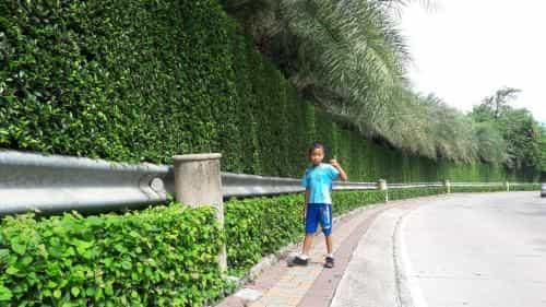 น้องเกสต์เฮาส์ น้องเกสต์เฮาส์