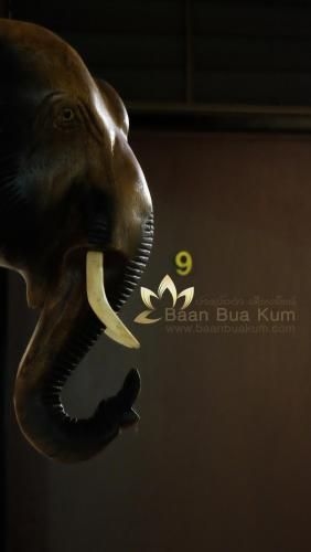 Baan Bua Kum4