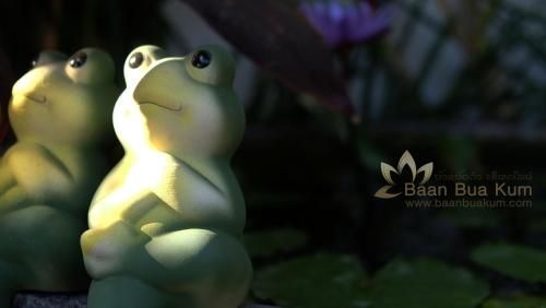 Baan Bua Kum2