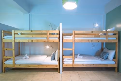 Bunk Bed in Mixed Dormitory Room