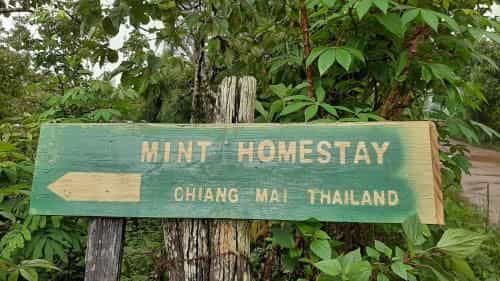 Mint Homestay Mint Homestay