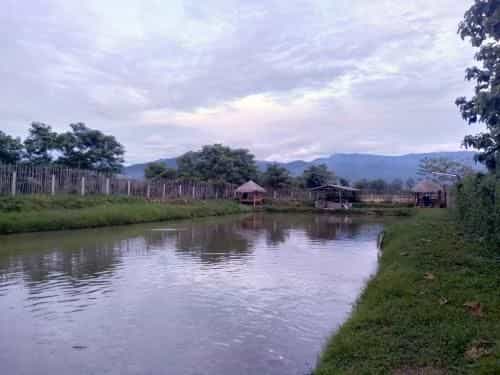 Sleep & Fishing @ Pua Sleep & Fishing @ Pua