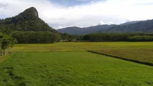 Kireethara homestay Kireethara homestay