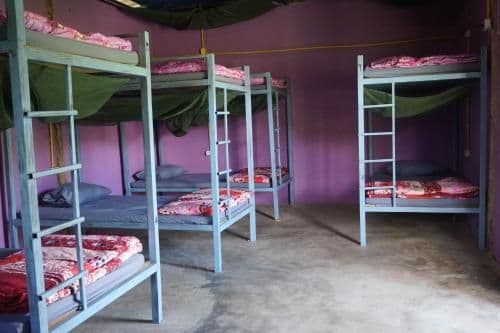 Bunk Bed in Mixed Dormitory Room