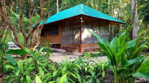 Penny's Cabins เพ็นนีติ์รีสอร์ท Penny's Cabins เพ็นนีติ์รีสอร์ท