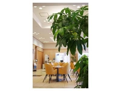 โทโยโกะ อินน์ ฮาเนดะ แอร์พอร์ต 1 (Toyoko Inn Haneda Airport I)4