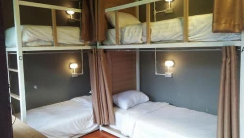 Bunk Bed in Mixed Dormitory Room